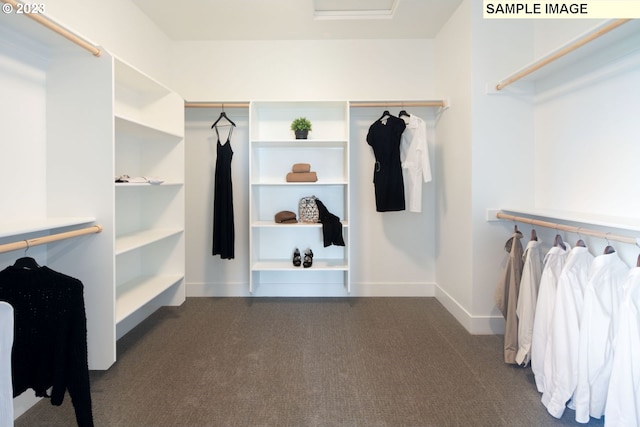 walk in closet featuring dark colored carpet