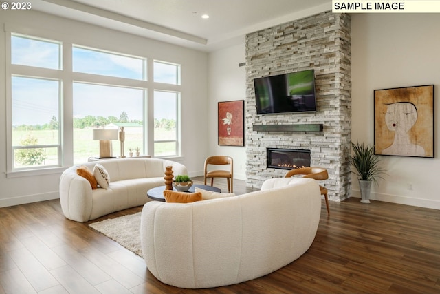 living room featuring hardwood / wood-style flooring and a fireplace