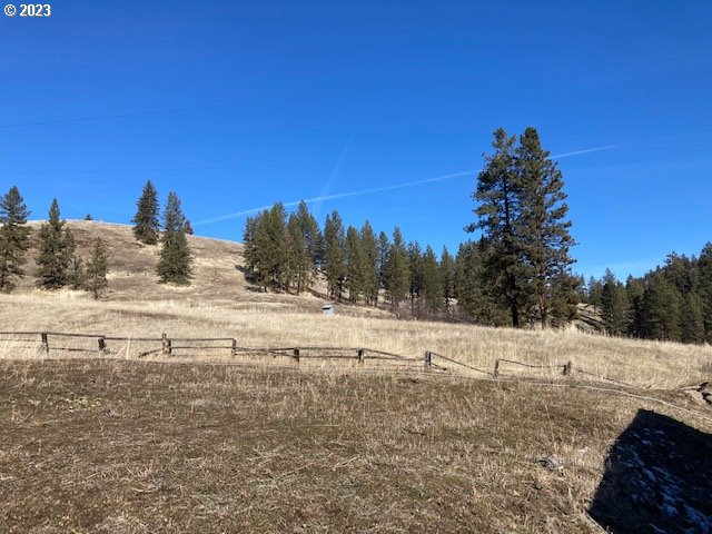 view of yard featuring a rural view