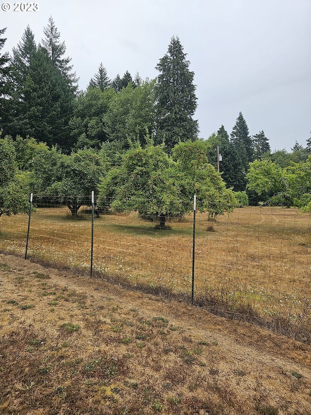 view of yard with a rural view