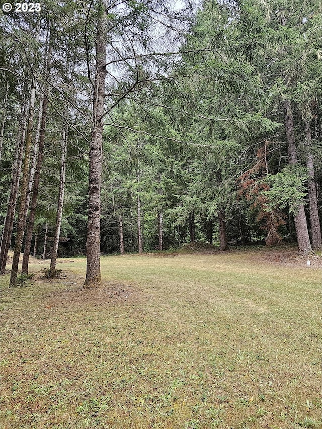 711 H Ave, Powers, OR 97466 - view of green lawn featuring a wooded view