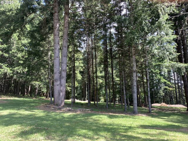711 H Ave, Powers, OR 97466 - view of green lawn featuring a forest view
