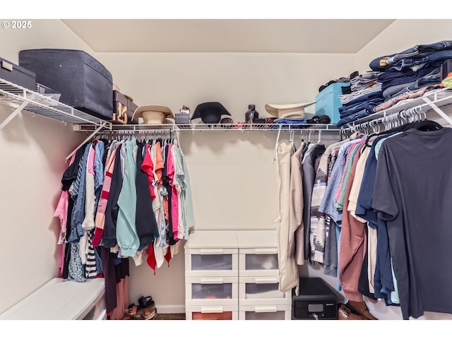 view of walk in closet