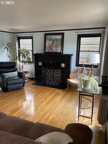 living room featuring light wood-type flooring