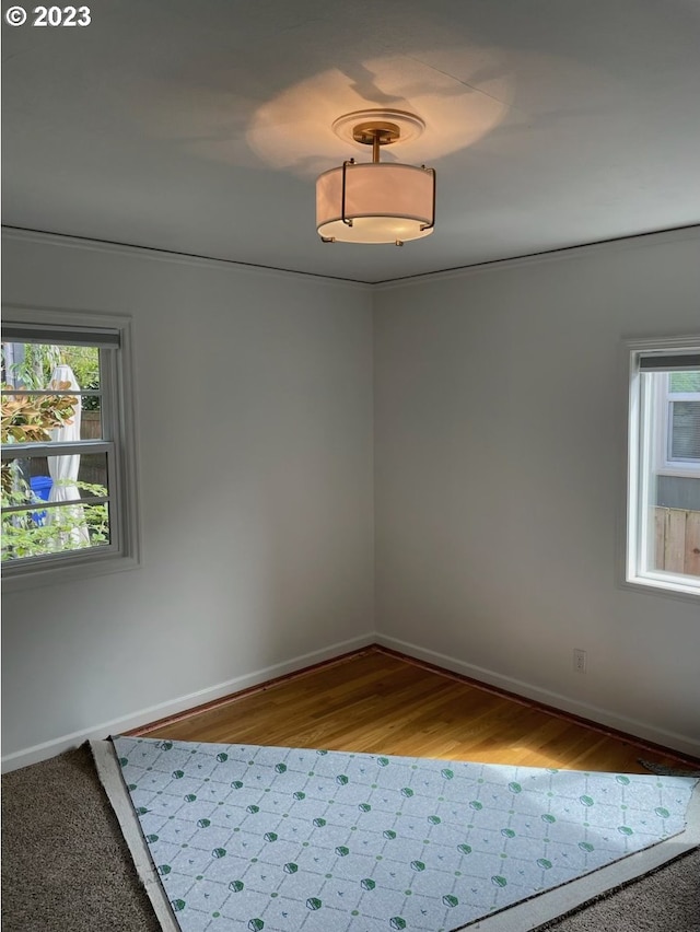 empty room featuring light hardwood / wood-style flooring