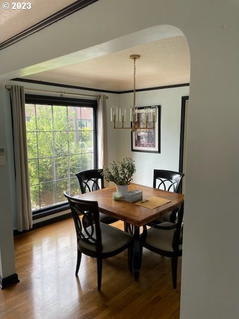 dining space with a notable chandelier, crown molding, a baseboard radiator, and light hardwood / wood-style flooring