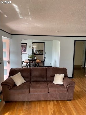 living room featuring a textured ceiling and light wood-type flooring