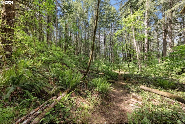 0 Tonga Ln, Springfield, OR 97478