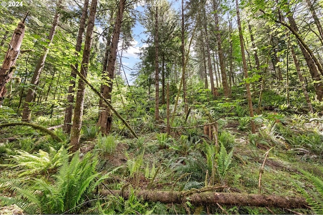 0 Tonga Ln, Springfield, OR 97478