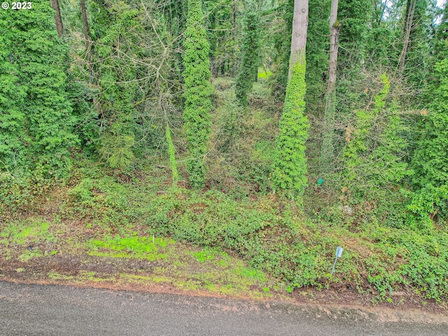 0 SE Minerva Ln, Milwaukie OR, 97267 land for sale