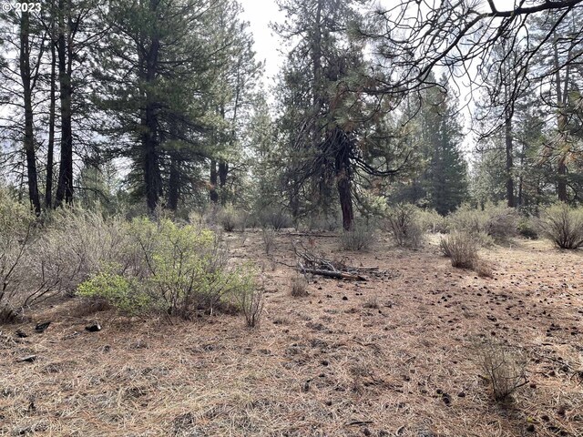 S Waterview Way Unit 6, Chiloquin, OR 97624