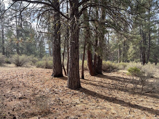 S Waterview Way Unit 6, Chiloquin, OR 97624