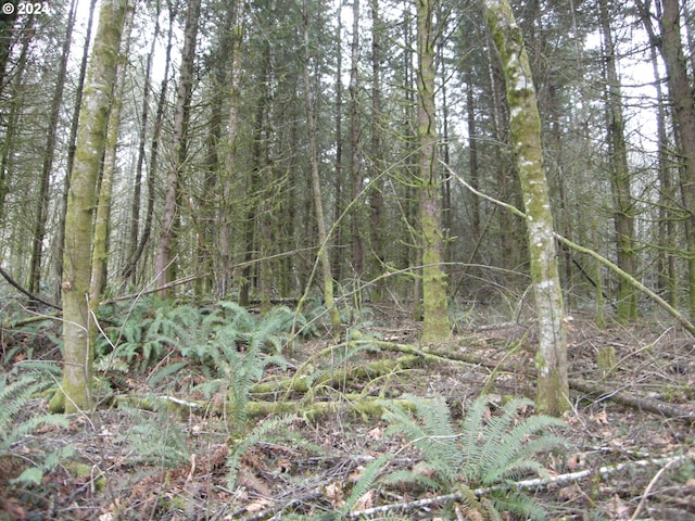 Pellham Hill Rd, Rainier, OR 97048