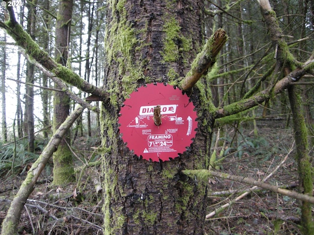 Pellham Hill Rd, Rainier, OR 97048