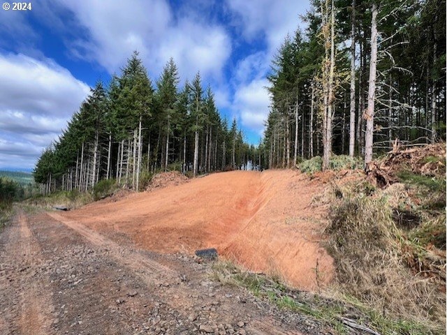 Pellham Hill Rd, Rainier, OR 97048