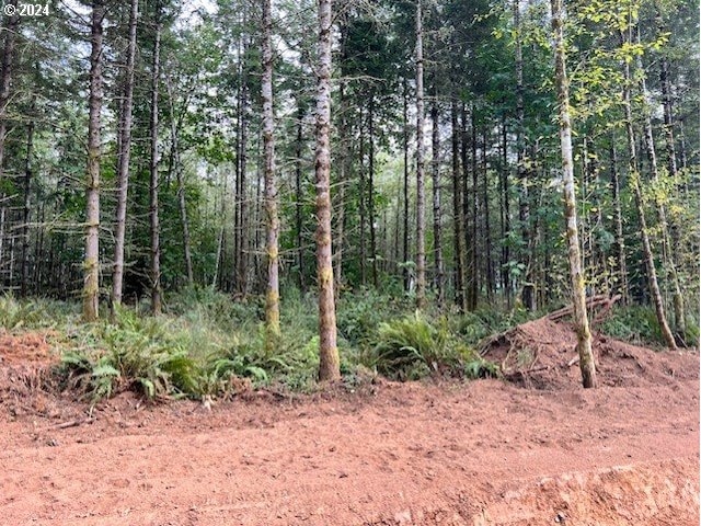 Pellham Hill Rd, Rainier, OR 97048