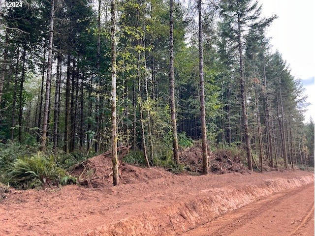 Pellham Hill Rd, Rainier, OR 97048