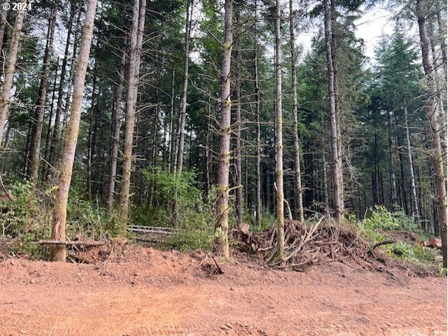 Pellham Hill Rd, Rainier, OR 97048