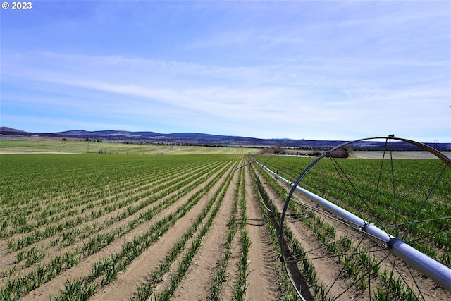 view of yard featuring a rural view