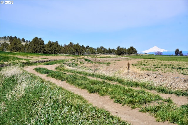 view of yard featuring a rural view