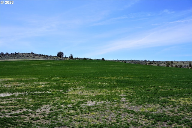 view of local wilderness featuring a rural view