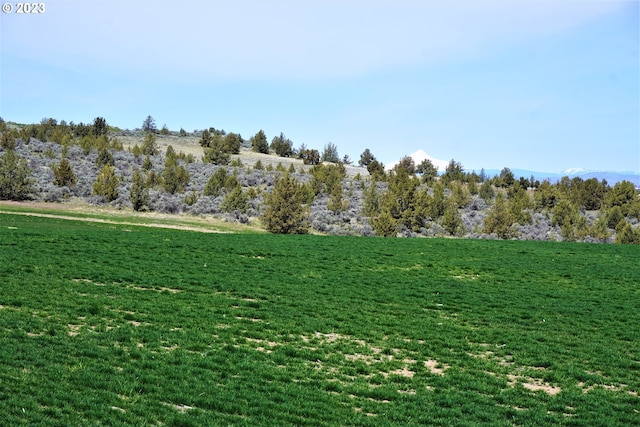 view of mother earth's splendor featuring a rural view