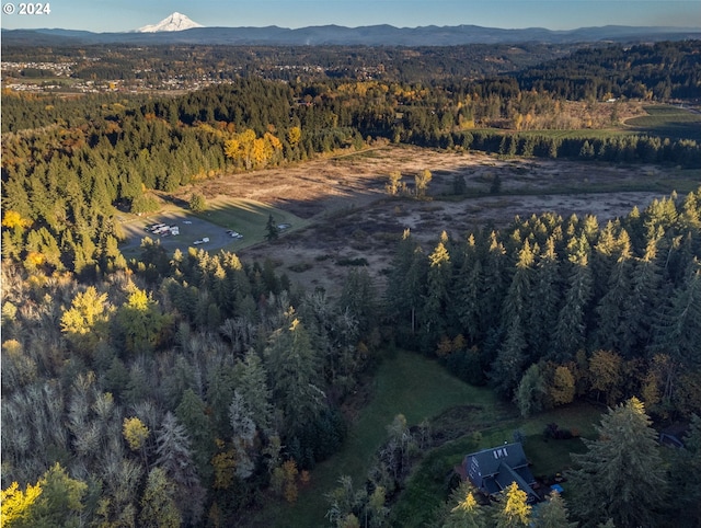 aerial view featuring a mountain view