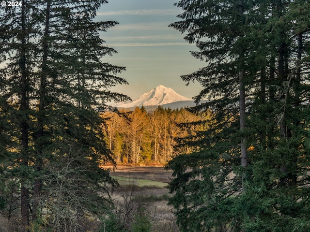 property view of mountains