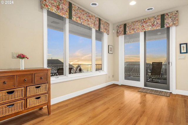 empty room with light hardwood / wood-style flooring and a wealth of natural light