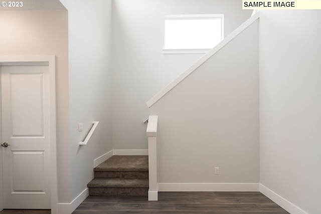 staircase featuring dark wood-type flooring