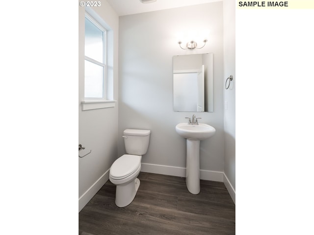 bathroom featuring toilet, wood-type flooring, and sink