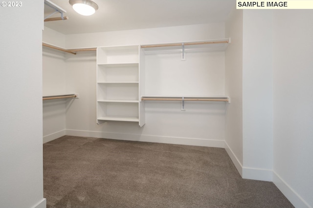 walk in closet featuring dark colored carpet