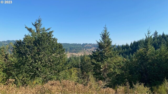 2180 Rice Valley Rd, Oakland OR, 97462 land for sale