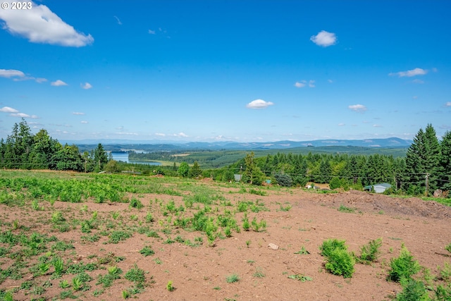 Listing photo 2 for 0 S Silver Lake Rd Unit 4, Castle Rock WA 98611