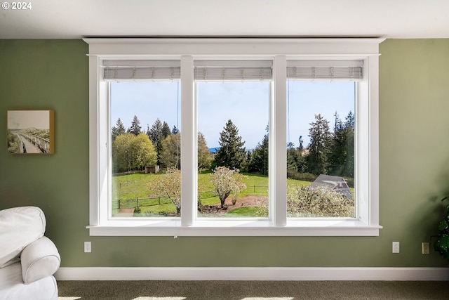 room details featuring carpet floors