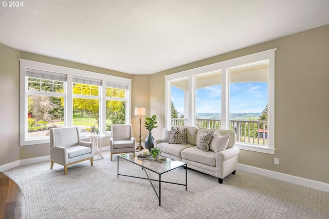 living room featuring a textured ceiling, light hardwood / wood-style floors, and plenty of natural light