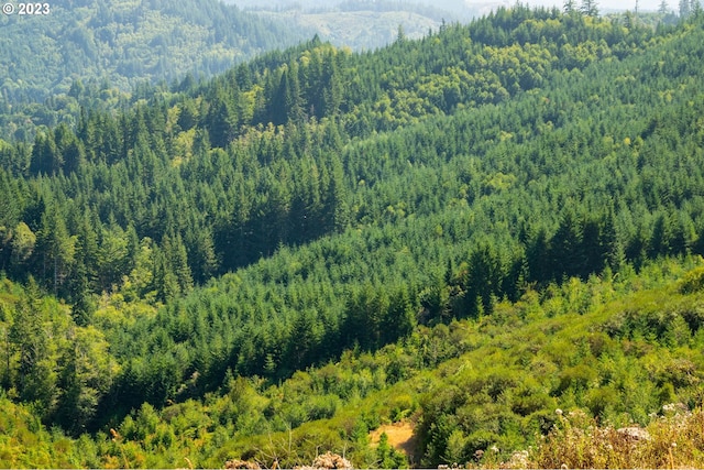 view of drone / aerial view