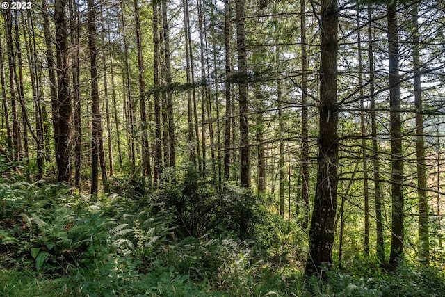 view of local wilderness