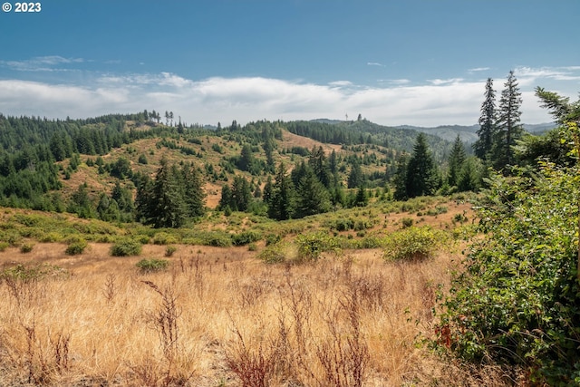 view of mountain feature