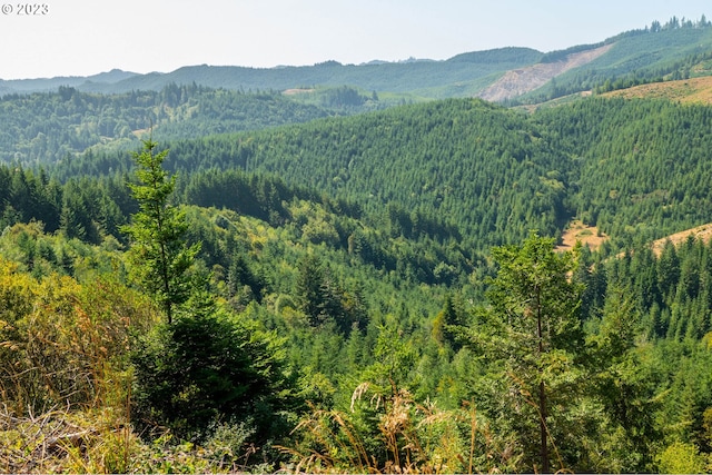 view of mountain feature