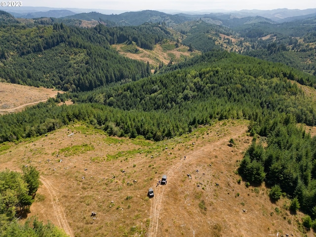 birds eye view of property featuring a mountain view