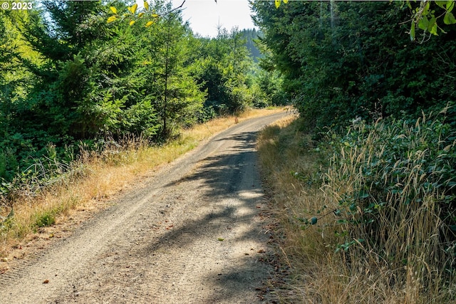 view of road