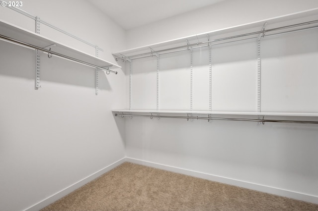 walk in closet featuring light carpet