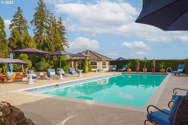 view of pool with a patio area