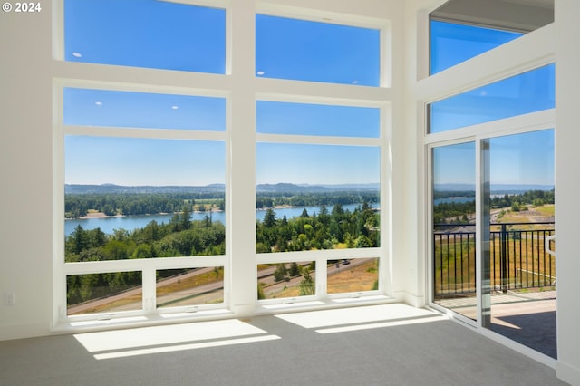 unfurnished sunroom featuring a healthy amount of sunlight and a water view