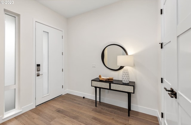 entryway featuring wood-type flooring