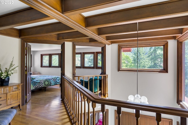 hallway with beamed ceiling, a skylight, dark hardwood / wood-style floors, and an inviting chandelier