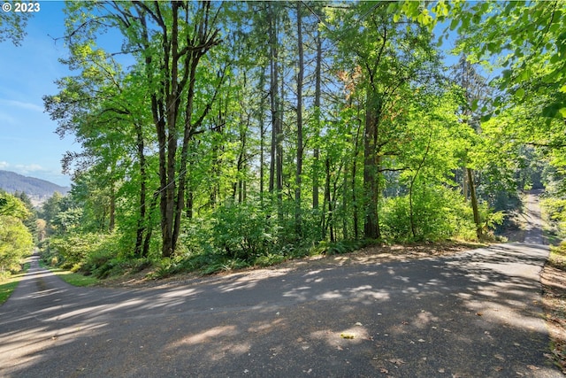 0 SE Maple Hill Ln, Happy Valley OR, 97086 land for sale