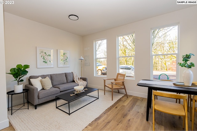 living room with light hardwood / wood-style floors