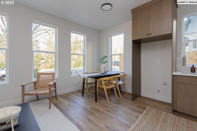 interior space featuring a healthy amount of sunlight, sink, and light hardwood / wood-style flooring